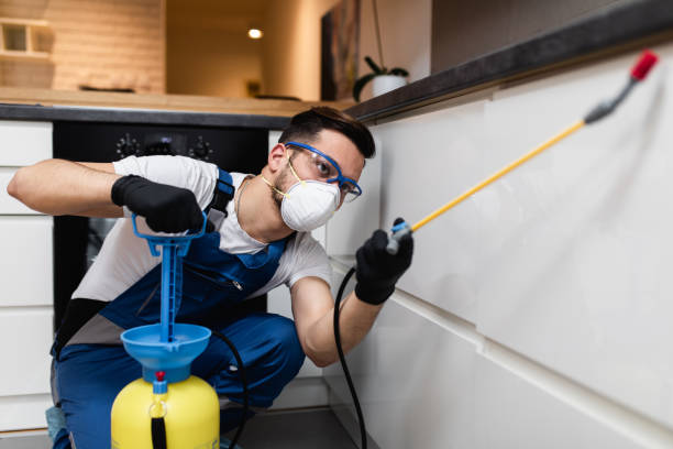 Best Pest Control Near Me  in Lambertville, NJ