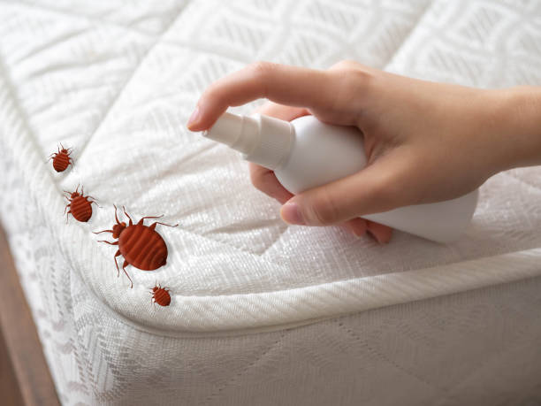 Best Emergency Pest Control  in Lambertville, NJ